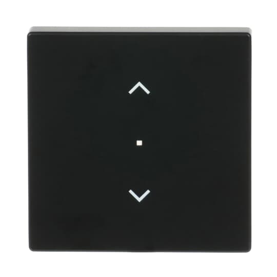 Busch-Jaeger Wippe sw mt future linear 6232-10-885