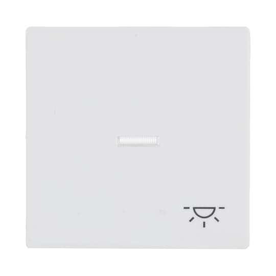 Busch-Jaeger Wippe stws mt mit Symbol Licht 1789 LI-884