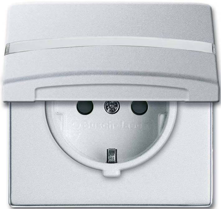 Busch-Jaeger Schuko-Steckdoseneinsatz IP44 alusilber 20 EUGKBN-33-101
