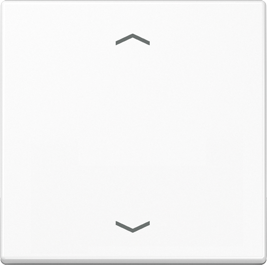 Jung Steuertaste Standard Symbole Pfeile A 1700 P WW