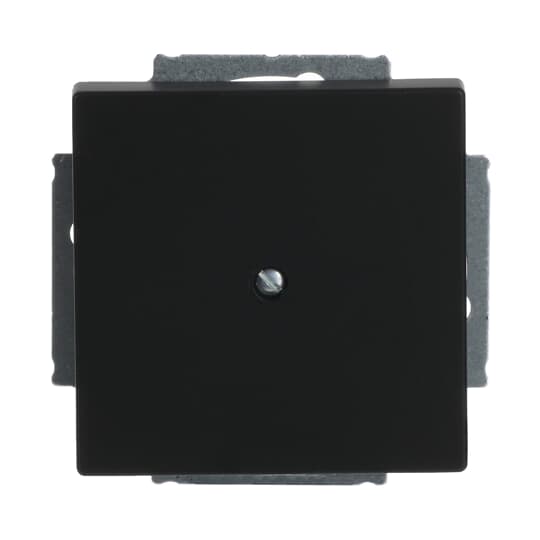 Busch-Jaeger Zentralscheibe sw mt Blindabd,m.Tragring 1742-885