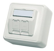 Telegärtner Modul-Aufnahme AP 80x80 2fach aws leer 100021382