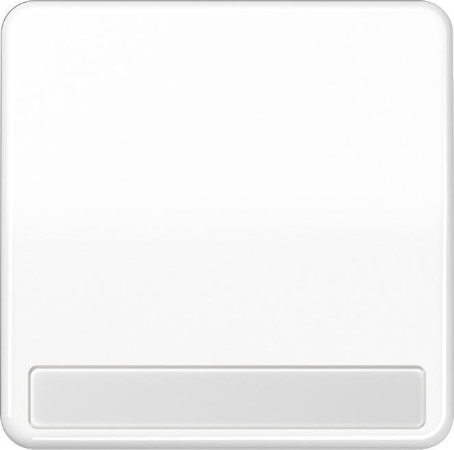 Jung Wippe Schriftfeld aws für Taster CD 590 NA WW