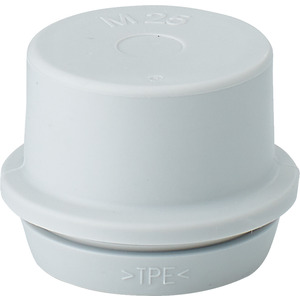 Hensel Einsteckstutzen IP55 ESM 25 Hensel Einsteckstutzen IP55 ESM 25