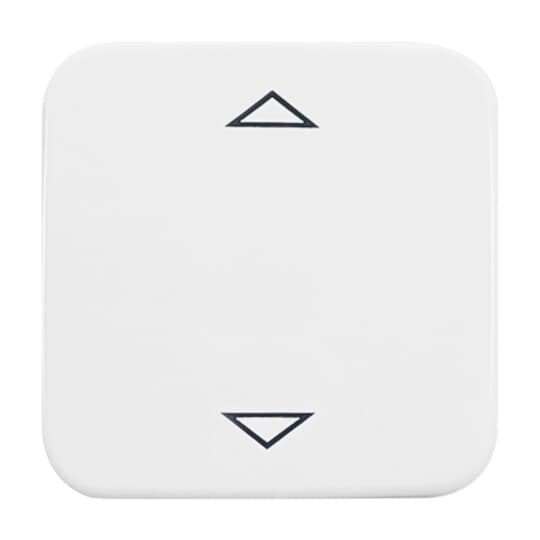 Busch-Jaeger Bedienelement aws für Jalousie-Einsatz 6430-214-102