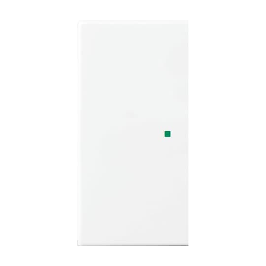 Busch-Jaeger Wippe aws Busch-balance SI 6230-20-914