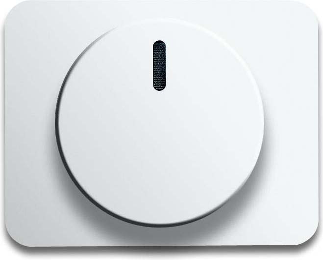 Busch-Jaeger Zentralscheibe stws gl für Drehdimmer 6540-24G