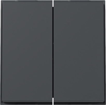 Gira Wippe 2f (WG UP) Anthrazit 329567