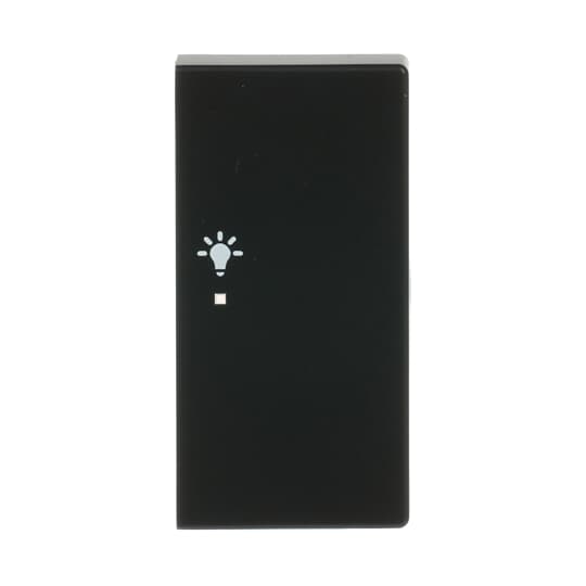 Busch-Jaeger Wippe sw mt future linear 6231-22-885