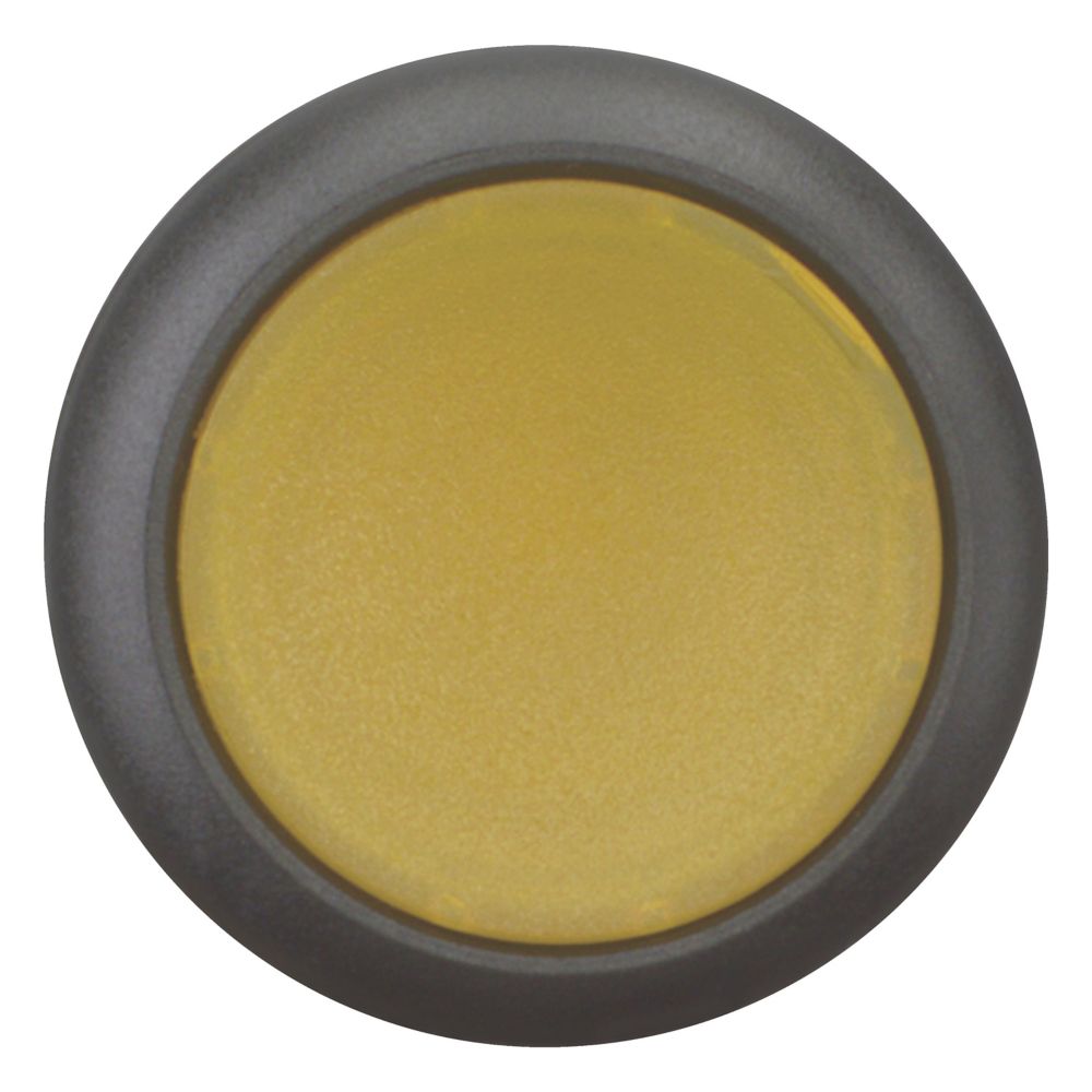 Eaton (Moeller) Leuchtdrucktaste flach,gelb,blanko M22S-DL-Y Eaton (Moeller) Leuchtdrucktaste flach,gelb,blanko M22S-DL-Y