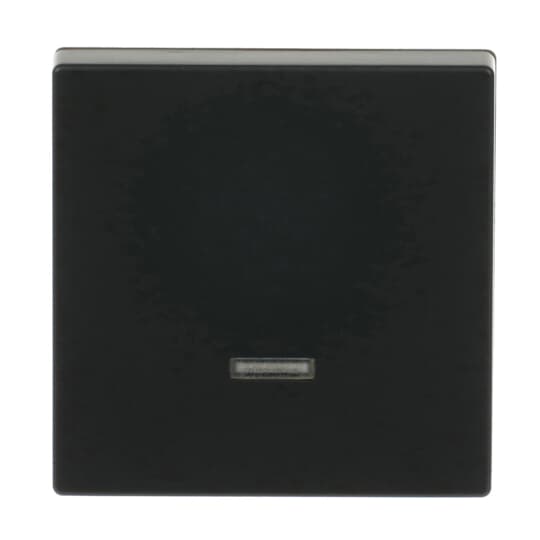 Busch-Jaeger Bedienelement Memory 6543-885-101