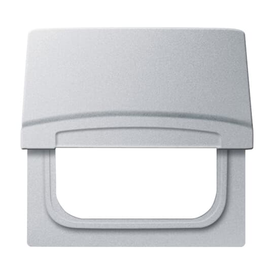 Busch-Jaeger Zwischenring m. Klappdecke alusilber 2118 GK-33