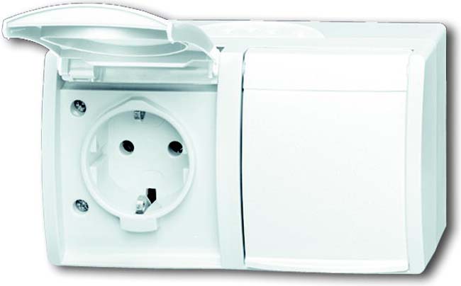 Busch-Jaeger Schuko-Steckdose 2f. mit Klappdeckel 20/2 EW-54