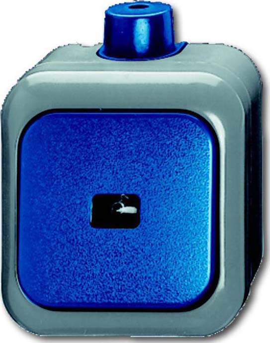 Busch-Jaeger Wipptaster Schliesser 1pol. AP 2621 WDI