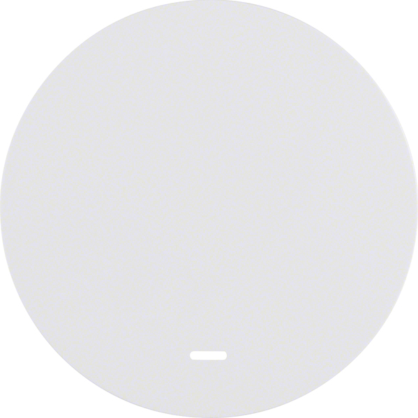 Berker Wippe pows/gl m. klarer Linse 16212089