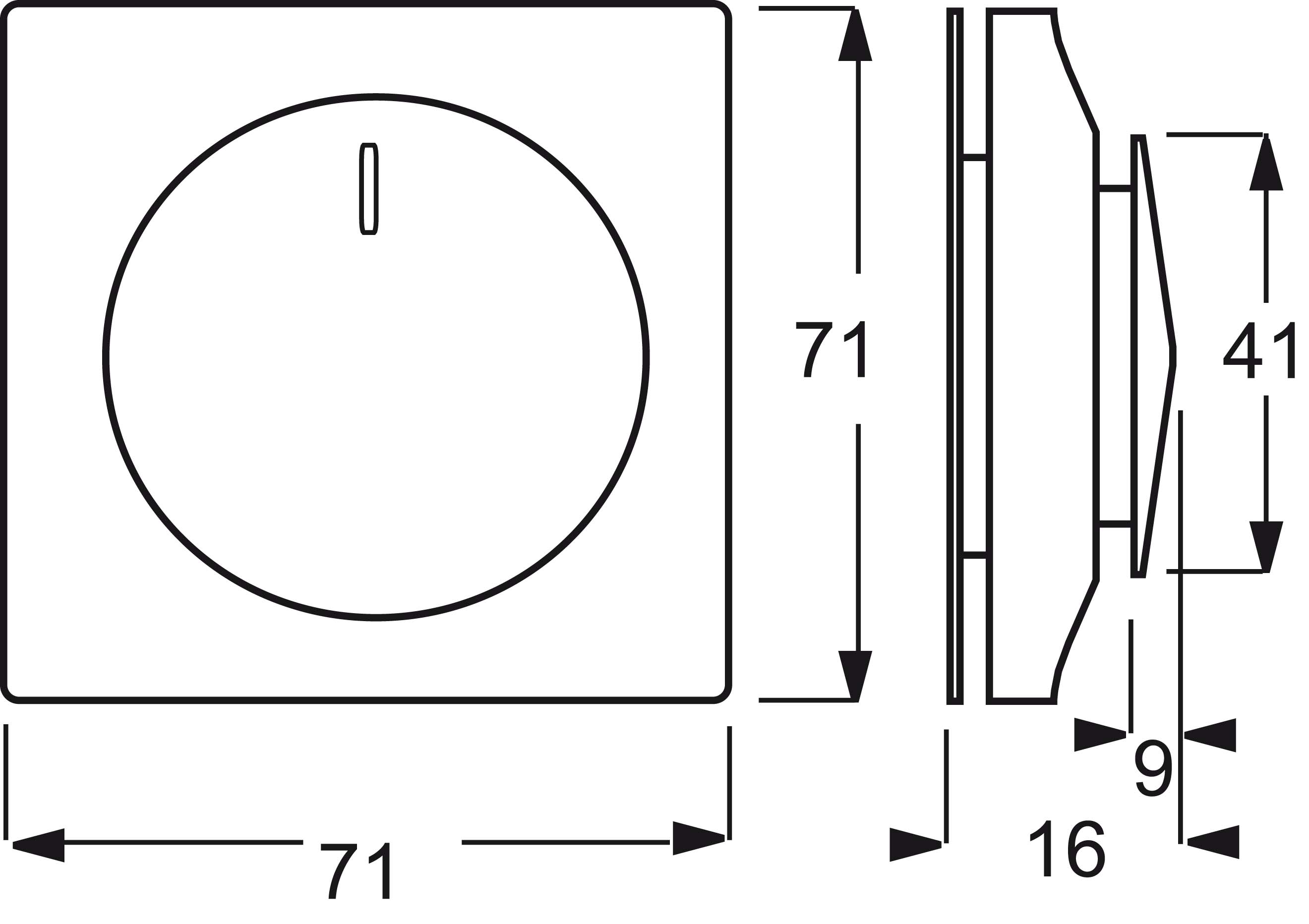 Busch-Jaeger Zentralscheibe sw mt für Drehdimmer 6540-775