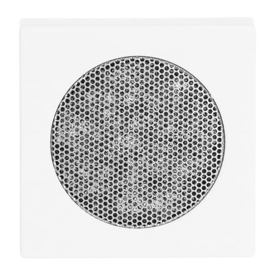 Busch-Jaeger Zentralscheibe davos/stws f.EB-Lautsprecher 8253-84