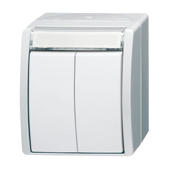 Busch-Jaeger Doppeltaster 2 Schliesser 2621 WN-54-205-101
