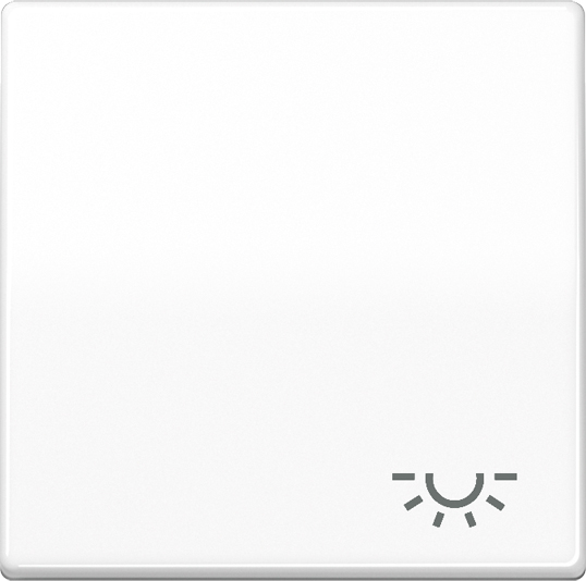 Jung Wippe Symbol LICHT aws für Taster AS 591 L WW