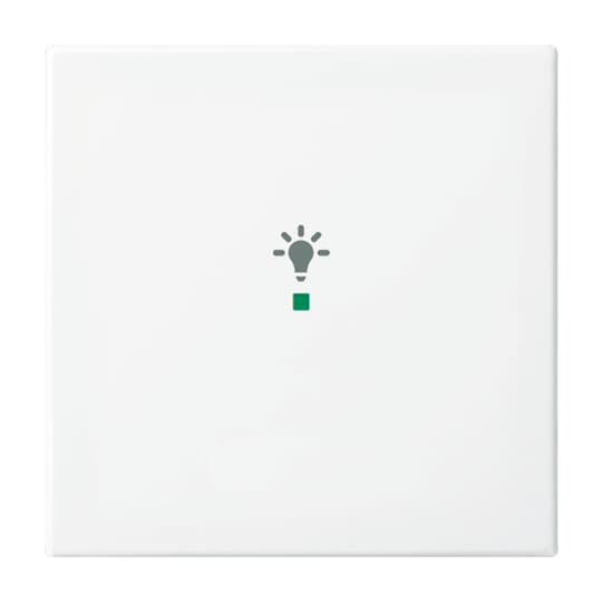 Busch-Jaeger Wippe aws Busch-balance SI 6231-10-914