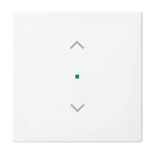 Busch-Jaeger Wippe aws Busch-balance SI 6232-10-914