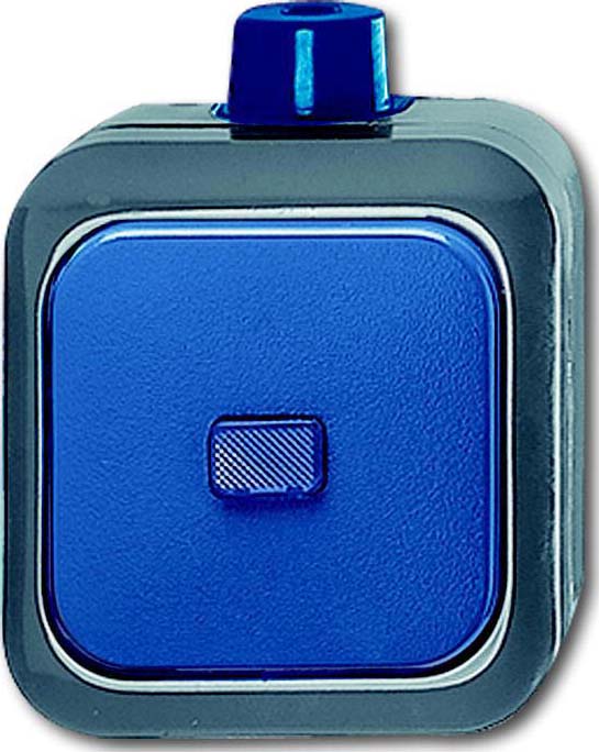Busch-Jaeger Wechselschalter AP 2601/6 WDI