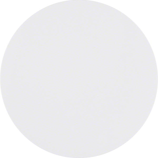 Berker Taste 1fach polarweiß gl 85141139