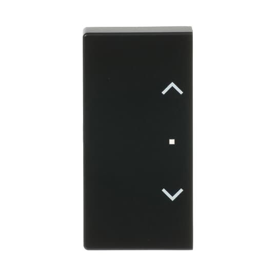 Busch-Jaeger Wippe sw mt future linear 6232-20-885