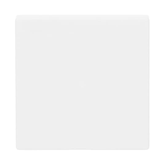 Busch-Jaeger Wippe studiows mt future linear 6230-10-884