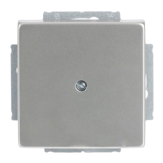 Busch-Jaeger Zentralscheibe eds Blindabd,m.Tragring 1742-866