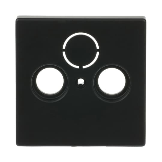 Busch-Jaeger Zentralscheibe sw mt f.Antennendose 2Loch 1743-885