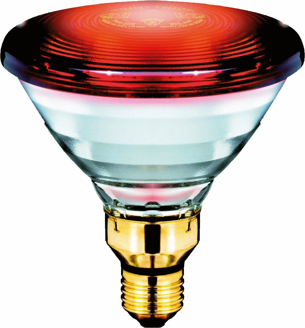 Signify Lampen IR-Reflektorlampe 230V E27 Infrared PAR38E 150W