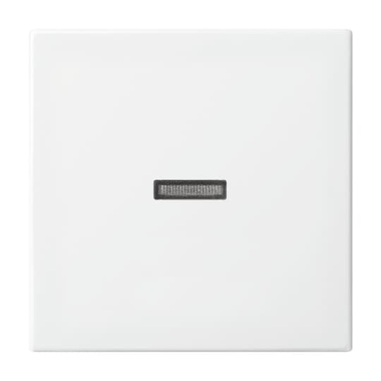 Busch-Jaeger Wippe aws Busch-balance SI 1789 N-914