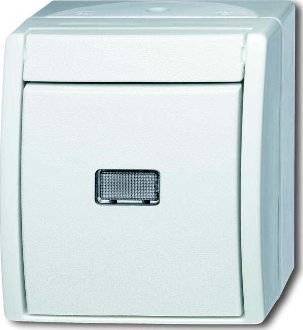 Busch-Jaeger Taster aws Wechsler 2621 W-54-206