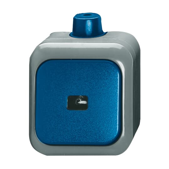 Busch-Jaeger Wipptaster Schliesser 1pol. AP 2621 WDI