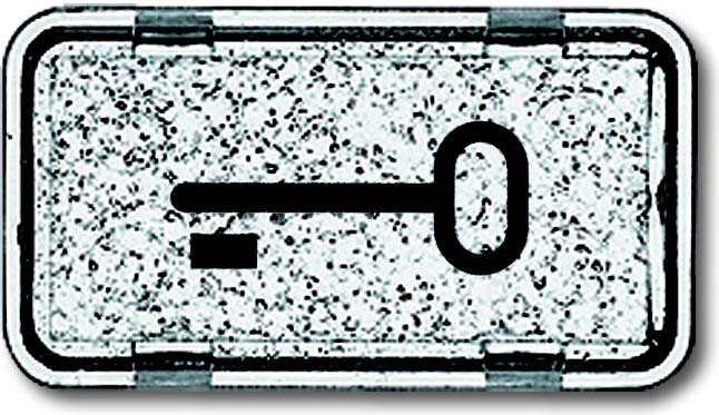 Busch-Jaeger Tastersymbol Schlüssel 2622 TR-101