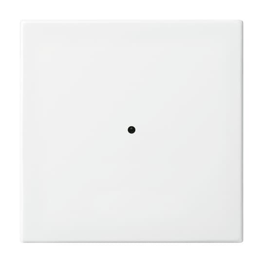 Busch-Jaeger Wandsender alpinweiß 6731-914