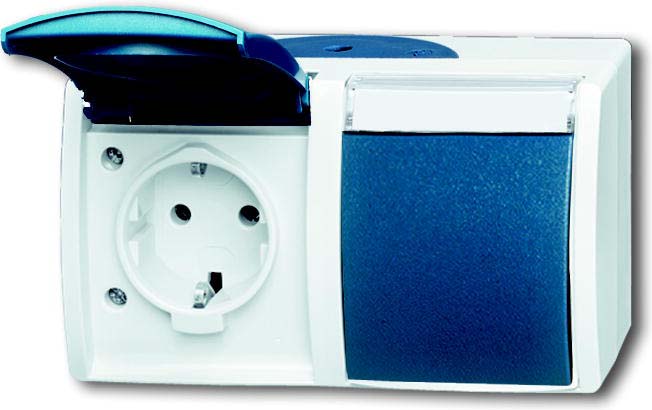 Busch-Jaeger Schuko-Steckdose 2f. waagerecht 20/2 EWN-53