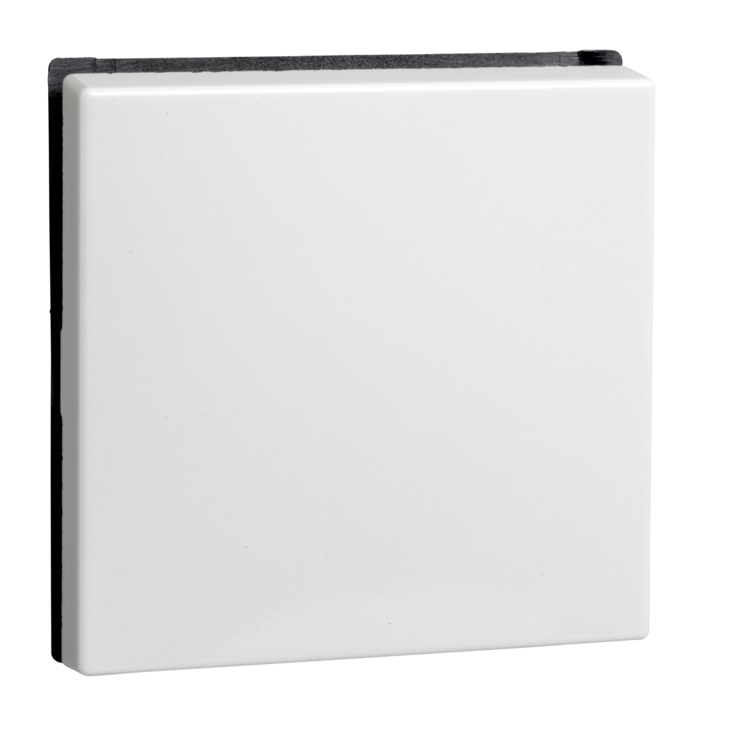 Elso Wippe rws f.Uni.Schalt./Tast. 273604 Elso Wippe rws f.Uni.Schalt./Tast. 273604