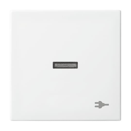 Busch-Jaeger Wippe mit Aufdruck alpinweiß 1789 ST-914