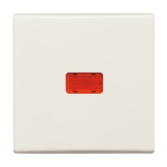 Busch-Jaeger Wippe cws Kontroll-Wechsel 2107-32
