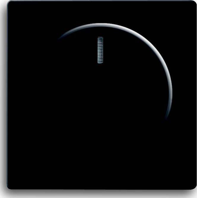 Busch-Jaeger Zentralscheibe sw mt für Drehdimmer 6540-885-102