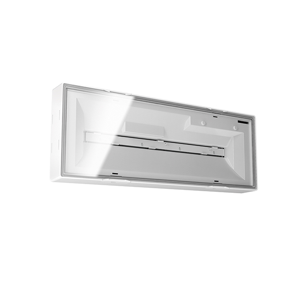 ESYLUX ESYLUX Notleuchte Deckenaufbau 3h ELX EL LED 3h IR SM