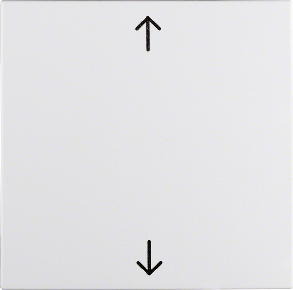 Berker Wippe pws Symbol Pfeil 16201919