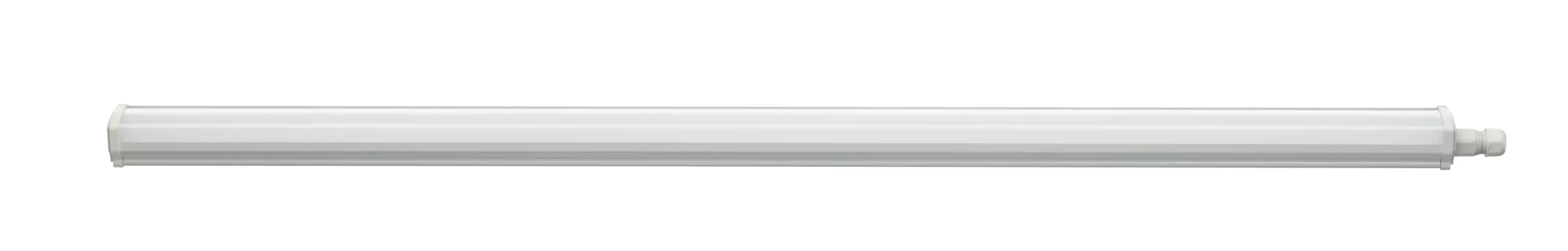 Signify PLS LED-Feuchtraumleuchte 4000K WT060C LED #36011999