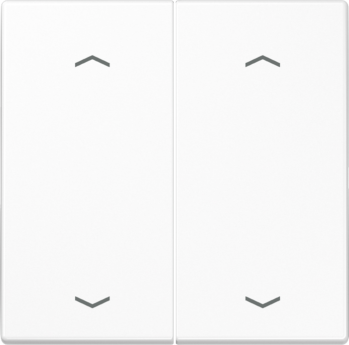 Jung Wippe Symbole aws für Taster 2-fach LS 995 MP WW