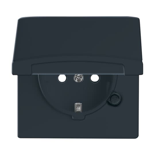 Busch-Jaeger Schuko-Steckdoseneinsatz IP44 anthrazit 20 EUGKB-35-101