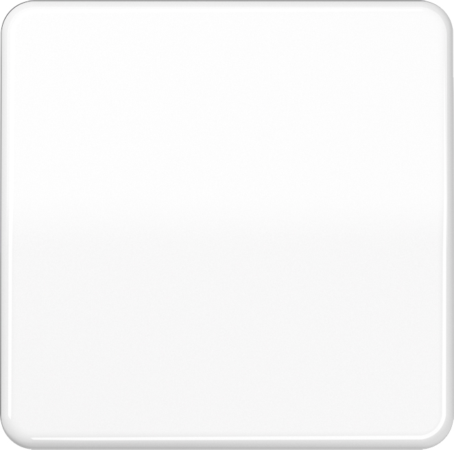 Jung Wippe aws für Taster CD 590 WW