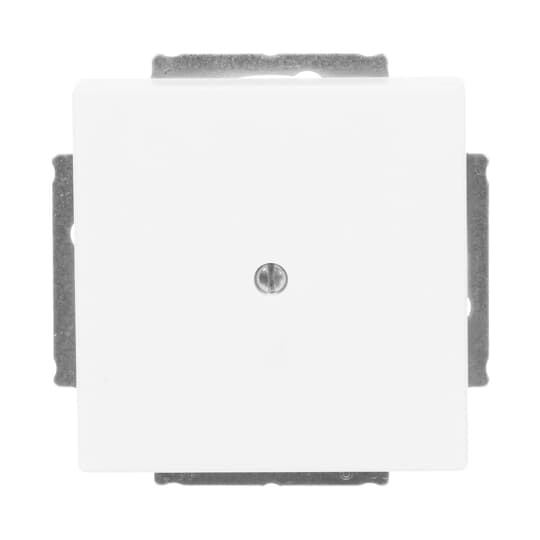 Busch-Jaeger Zentralscheibe ws Blindabd,m.Tragring 1742-884