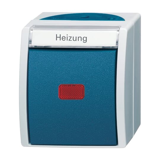 Busch-Jaeger Heiz.Notschalter AP, m.Namensschild 2601/6 SKWNH-53